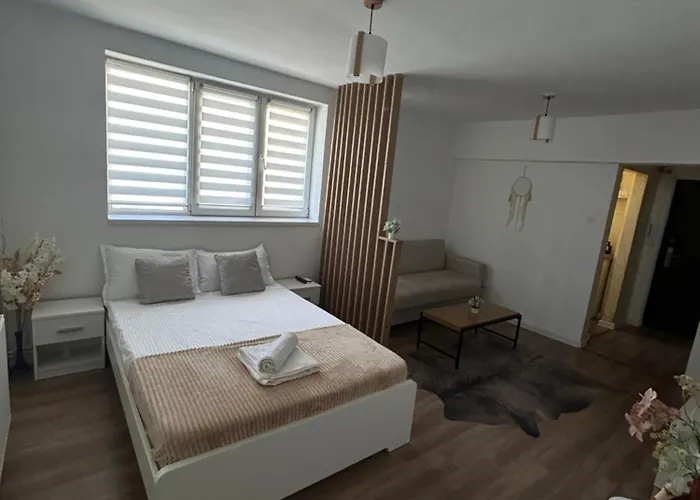 Circus Park 58 Appartement Boekarest